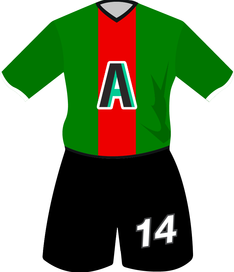 maglietta