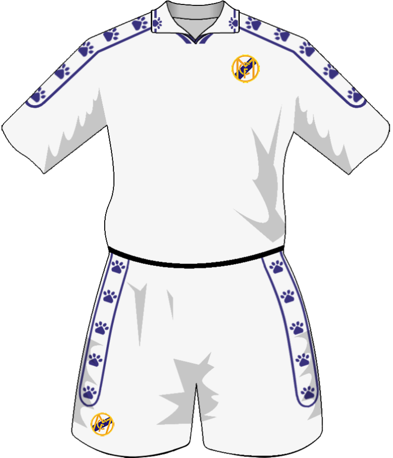 maglietta