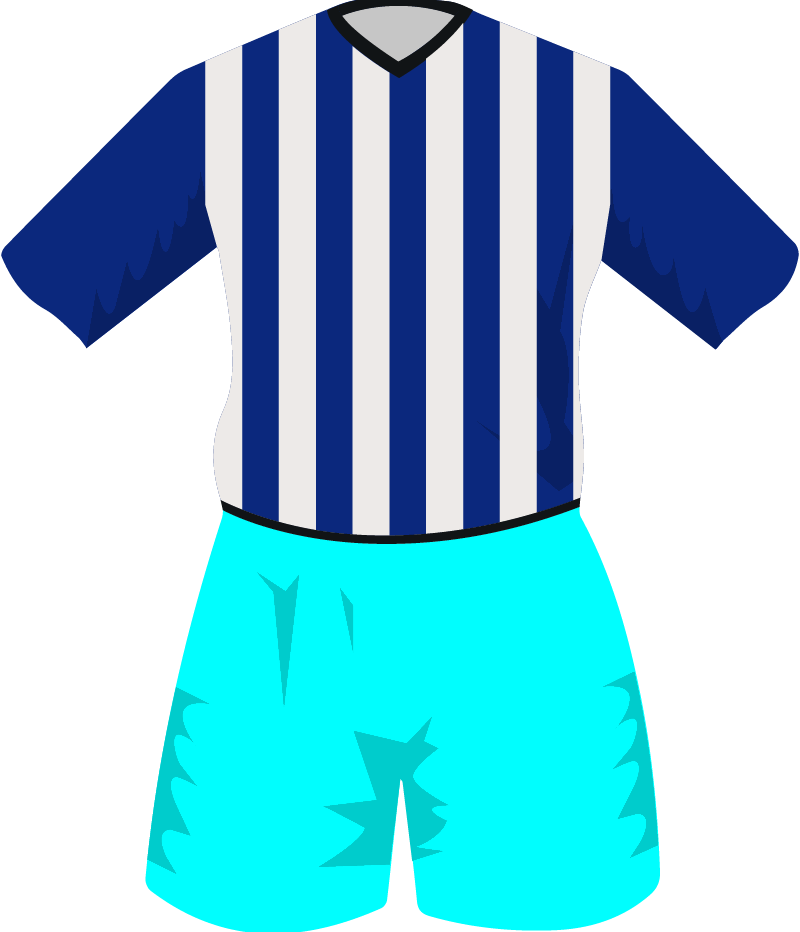 maglietta