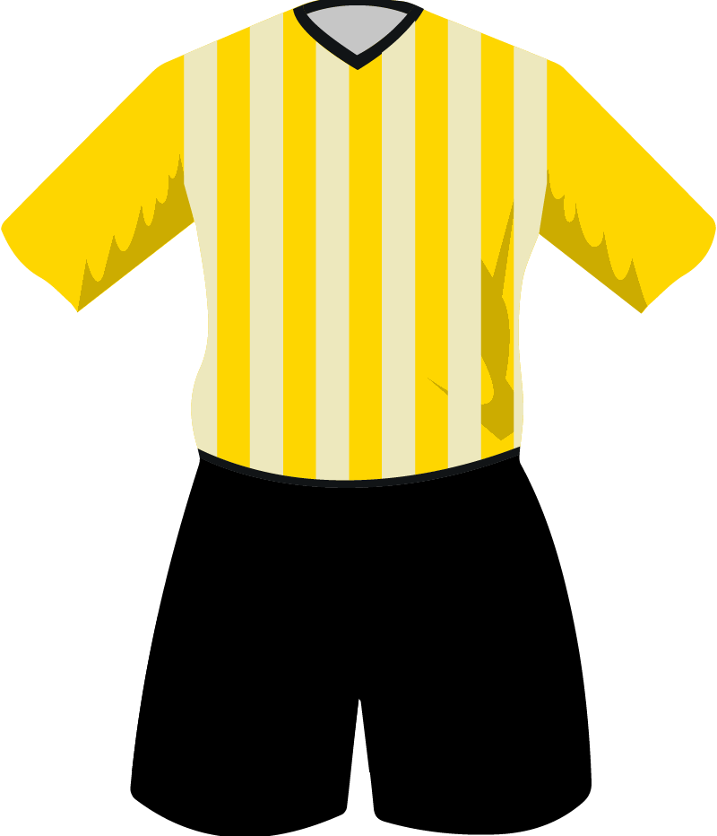 maglietta