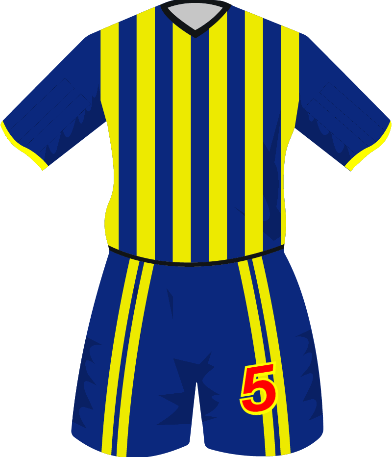 maglietta
