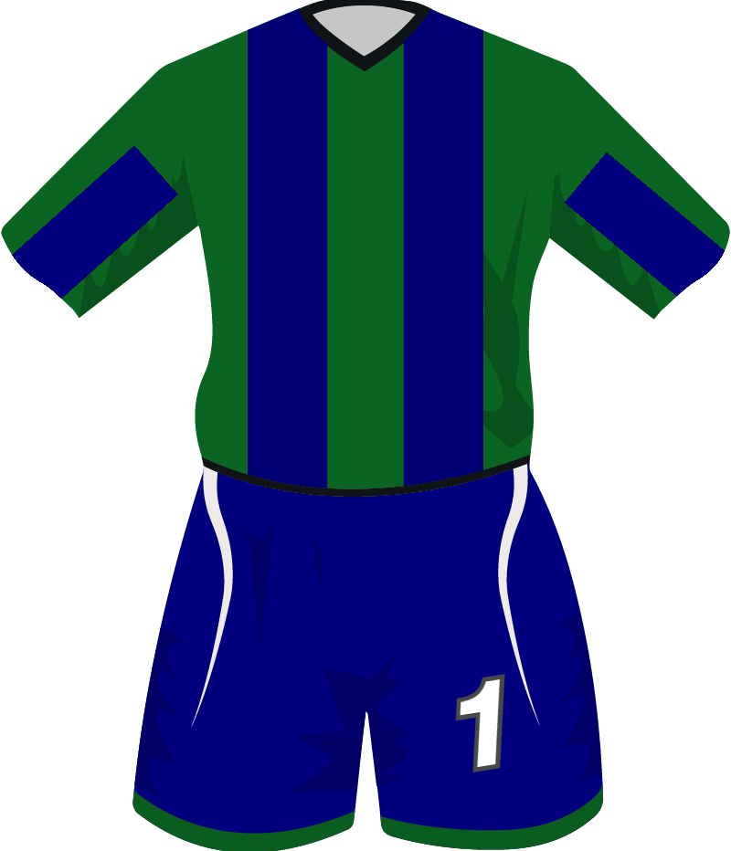 maglietta