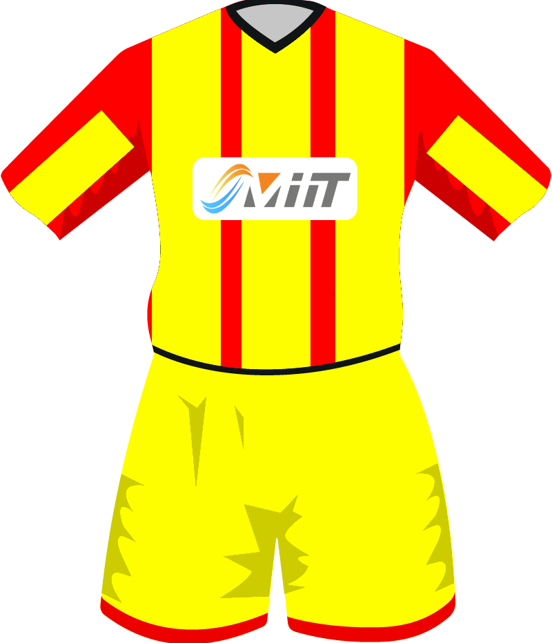 maglietta