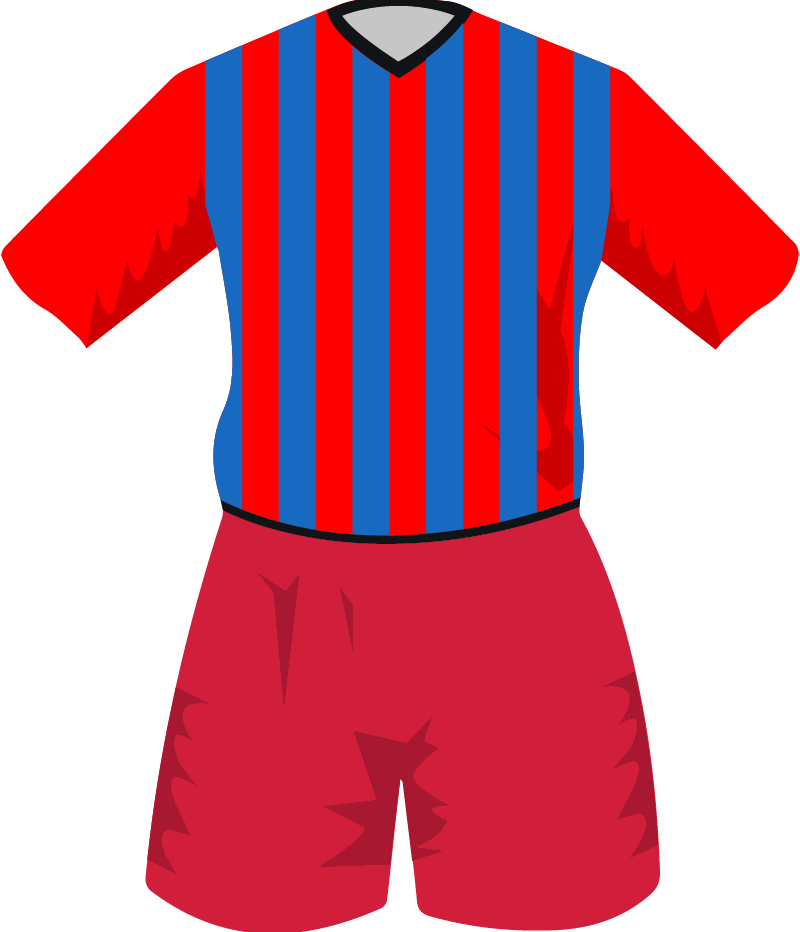 maglietta