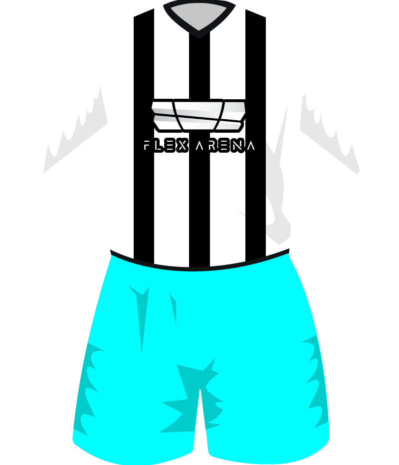 maglietta