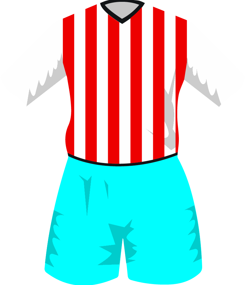 maglietta