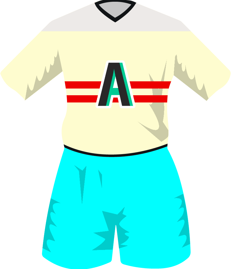 maglietta