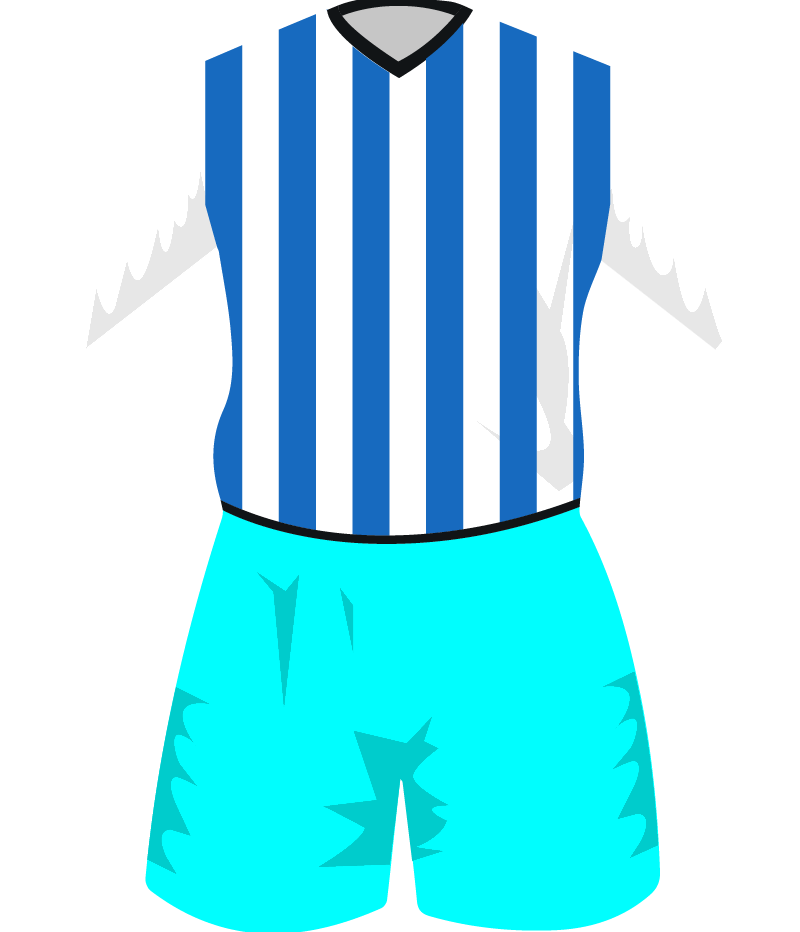 maglietta