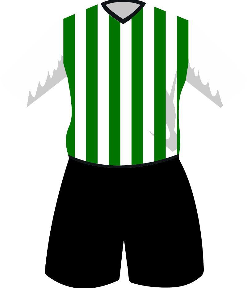 maglietta