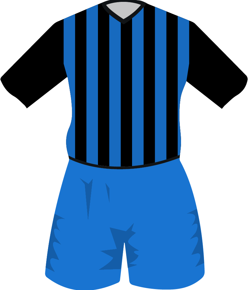 maglietta