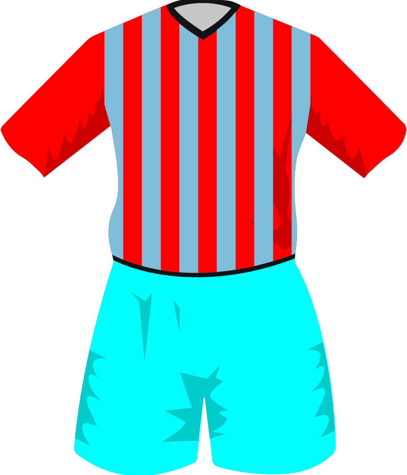 maglietta