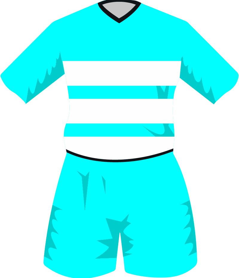 maglietta