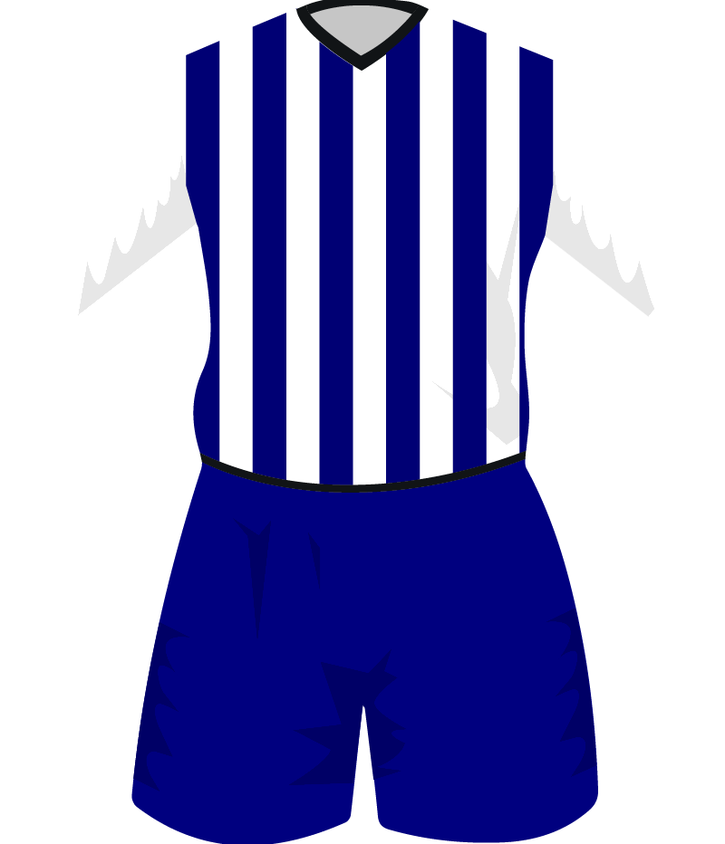 maglietta