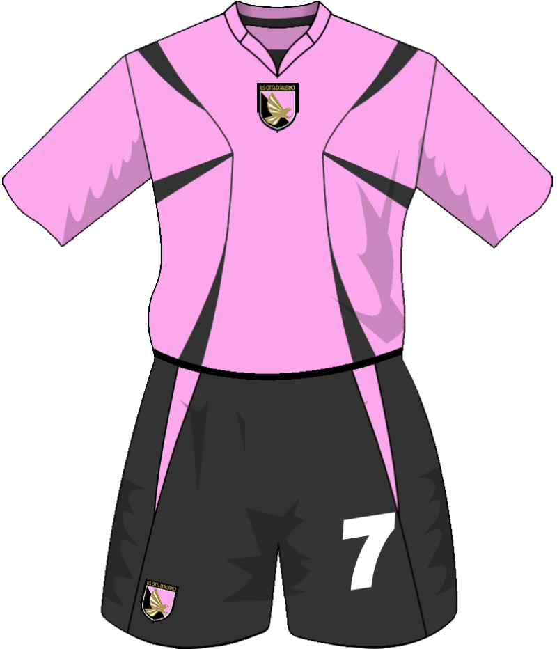 maglietta
