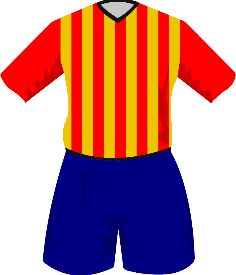 maglietta