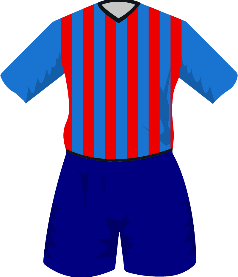 maglietta