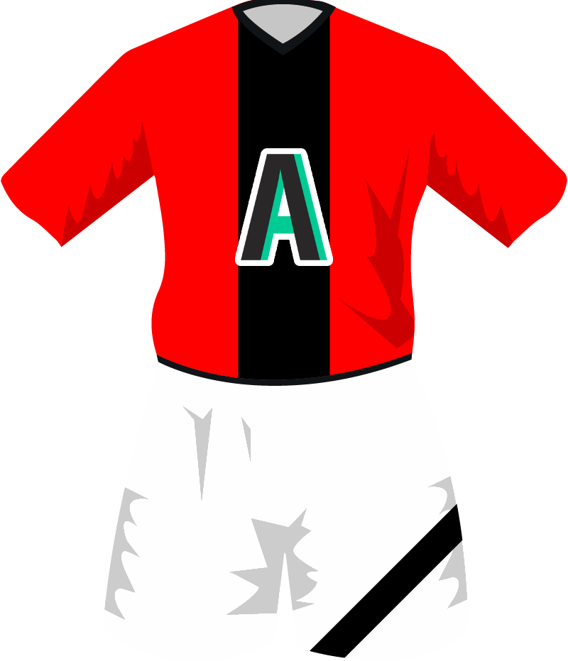 maglietta