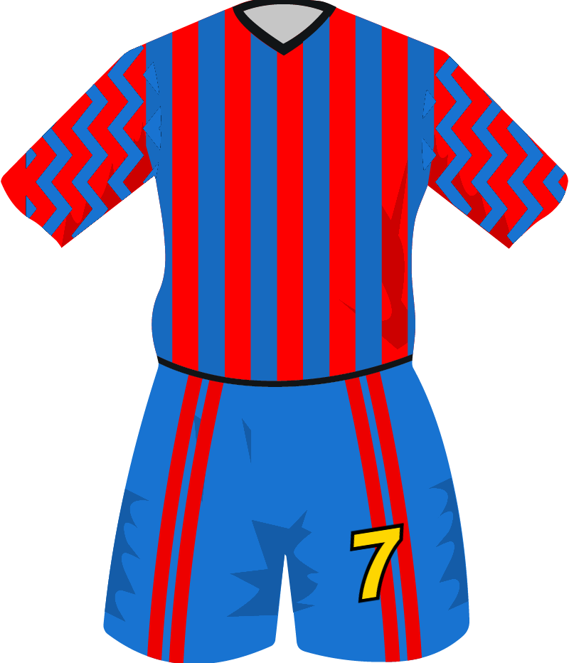 maglietta