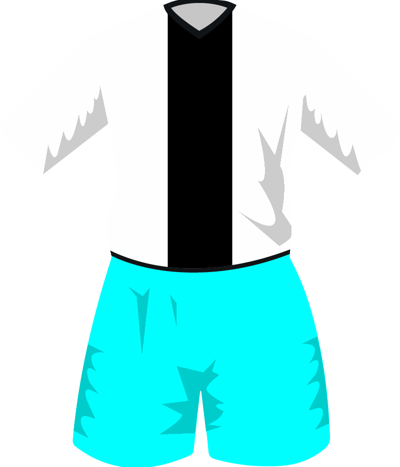maglietta