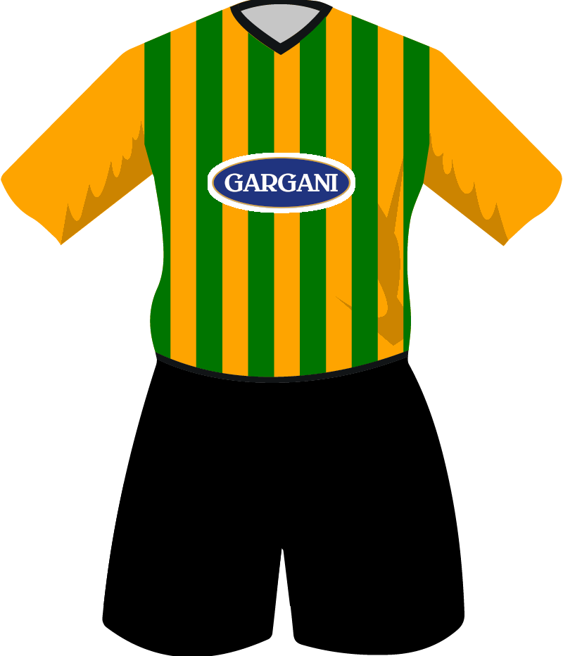 maglietta