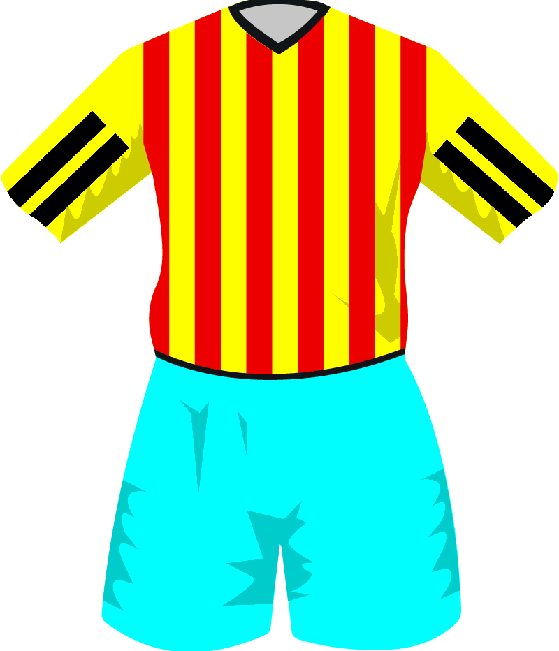 maglietta