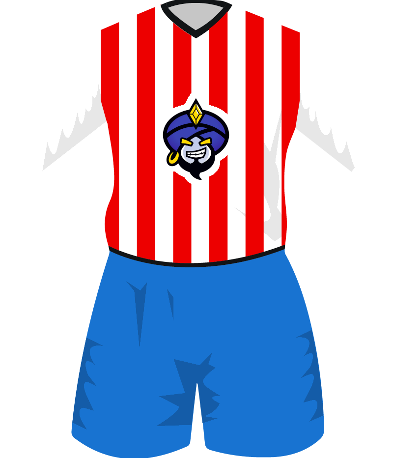 maglietta