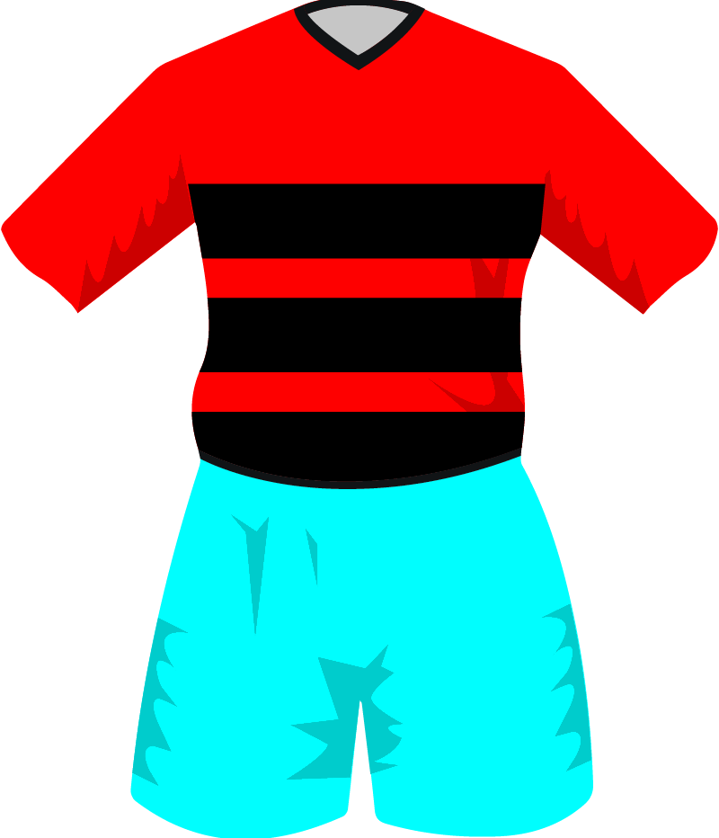 maglietta