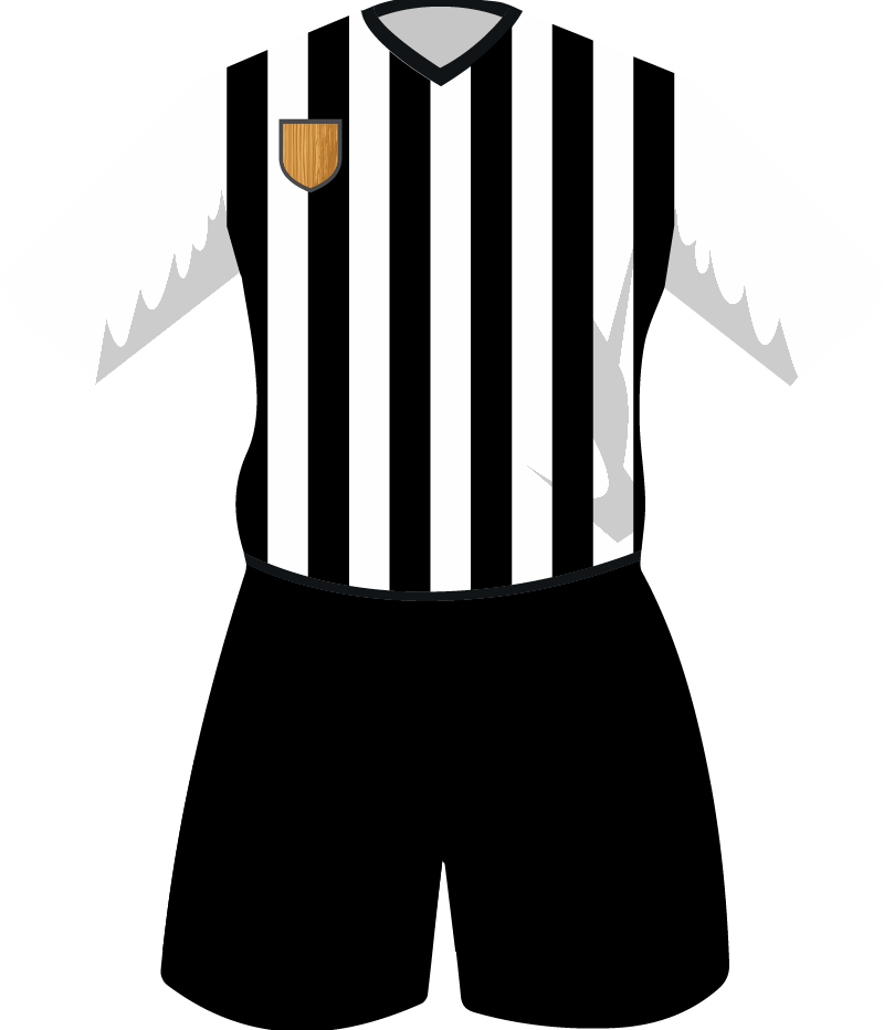 maglietta
