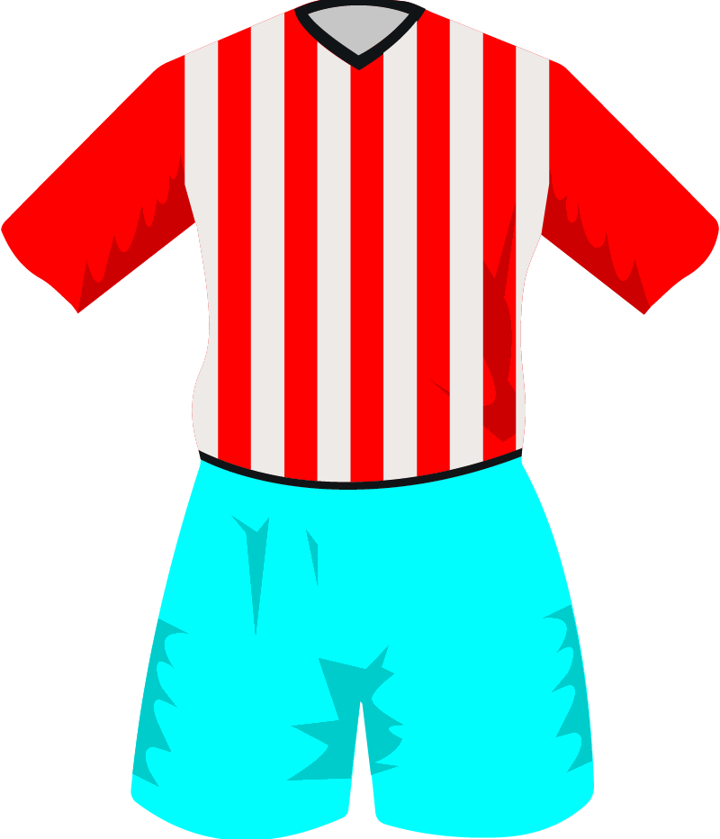 maglietta