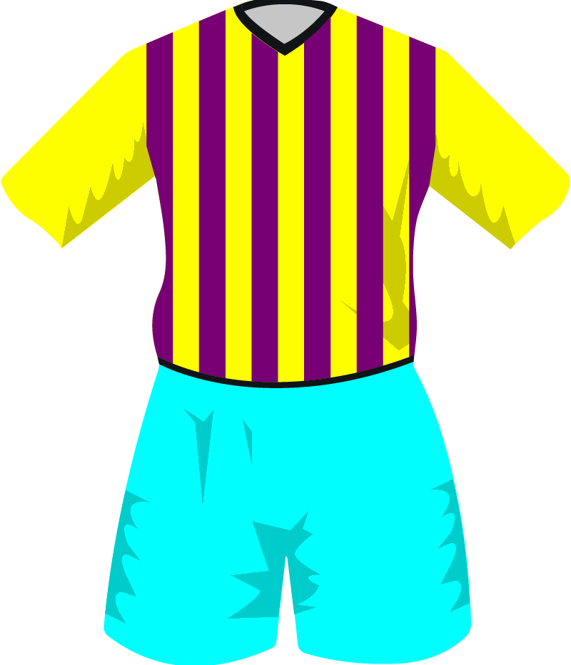 maglietta