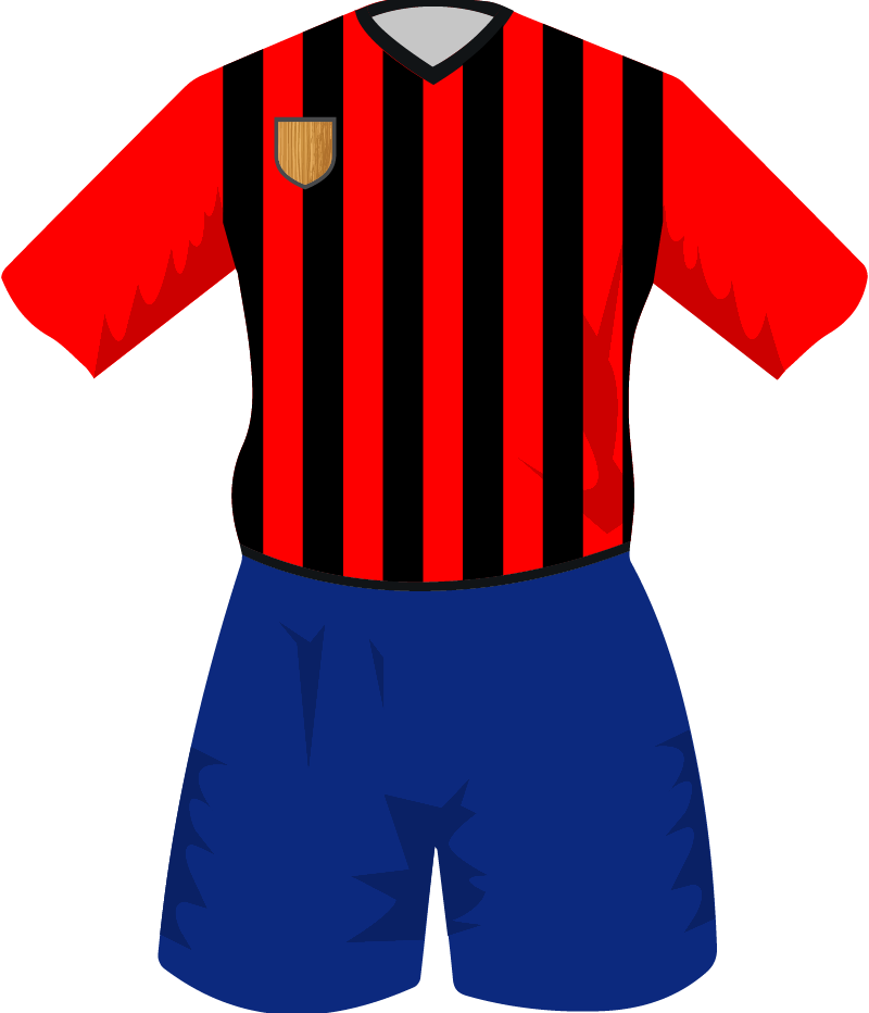 maglietta