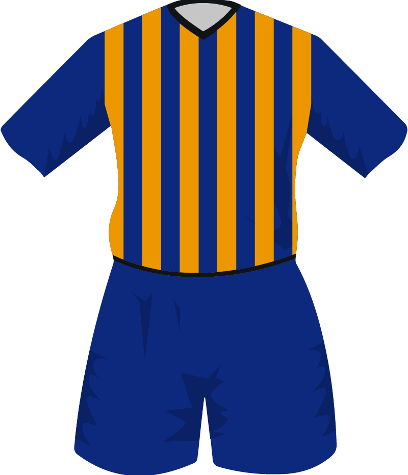 maglietta