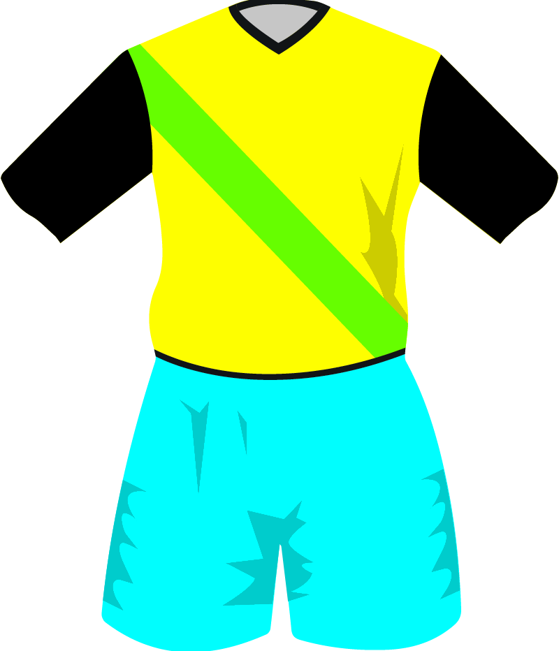 maglietta