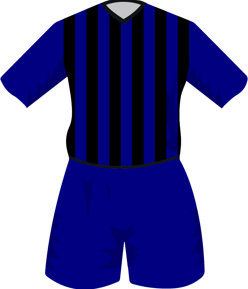 maglietta
