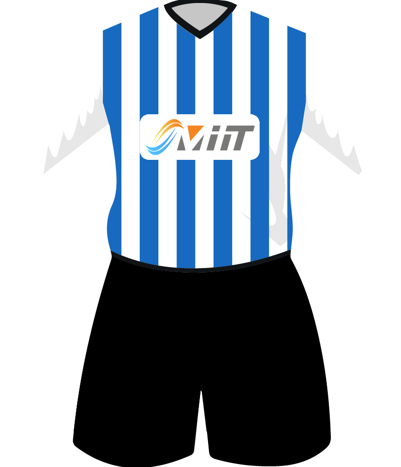 maglietta
