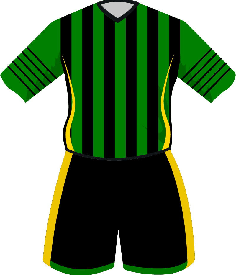 maglietta