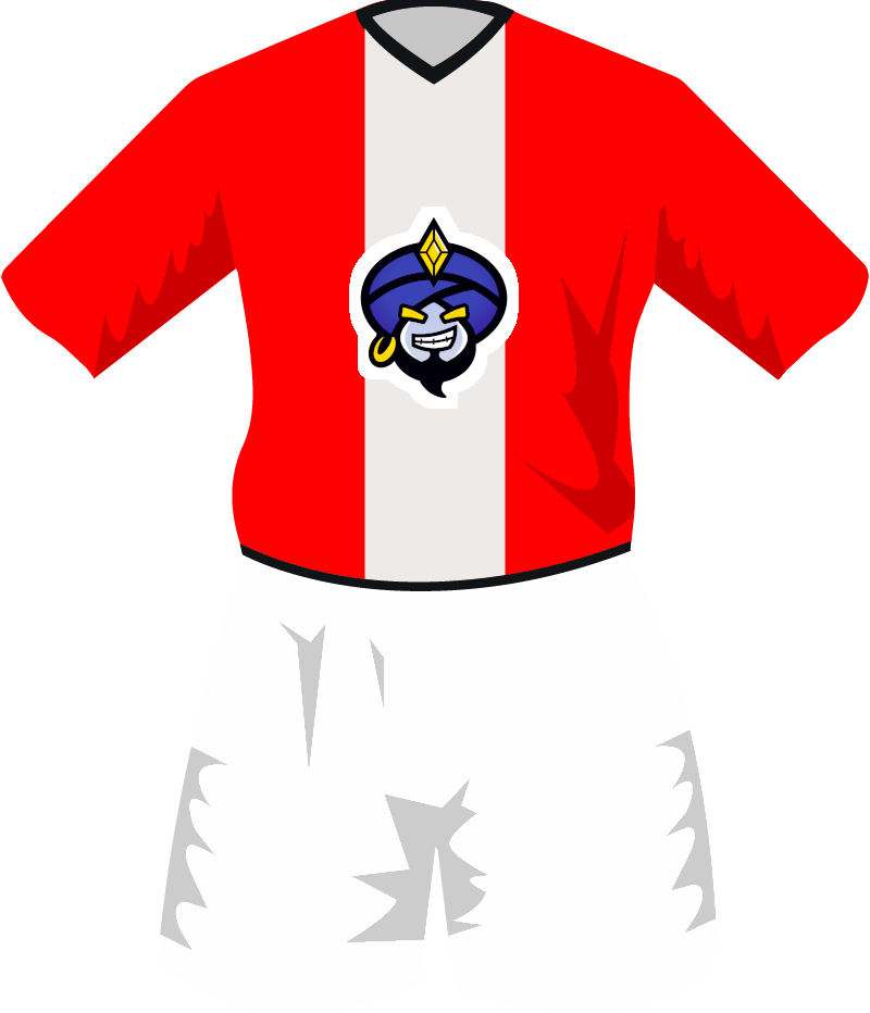 maglietta