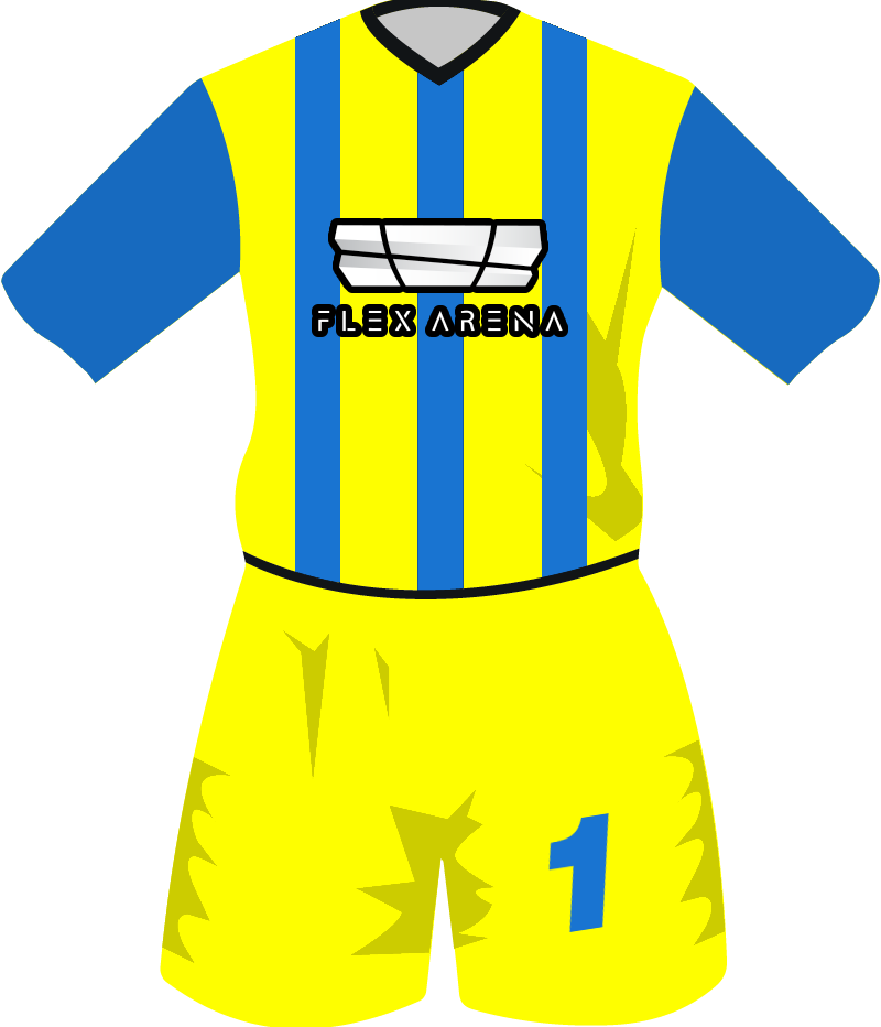 maglietta