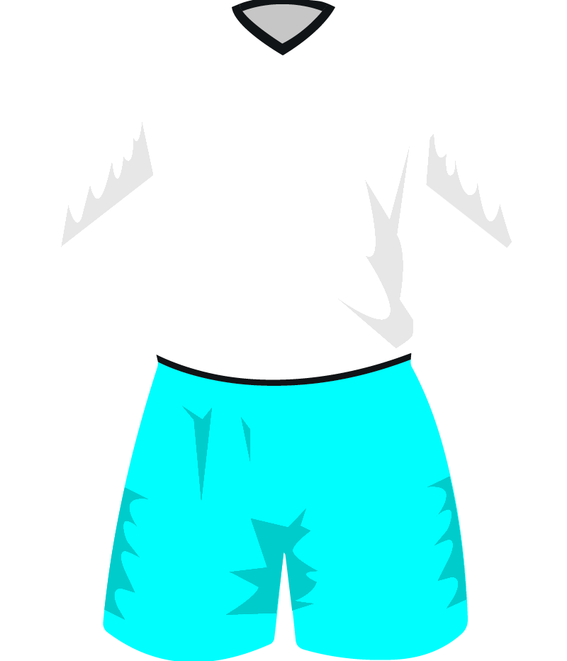 maglietta