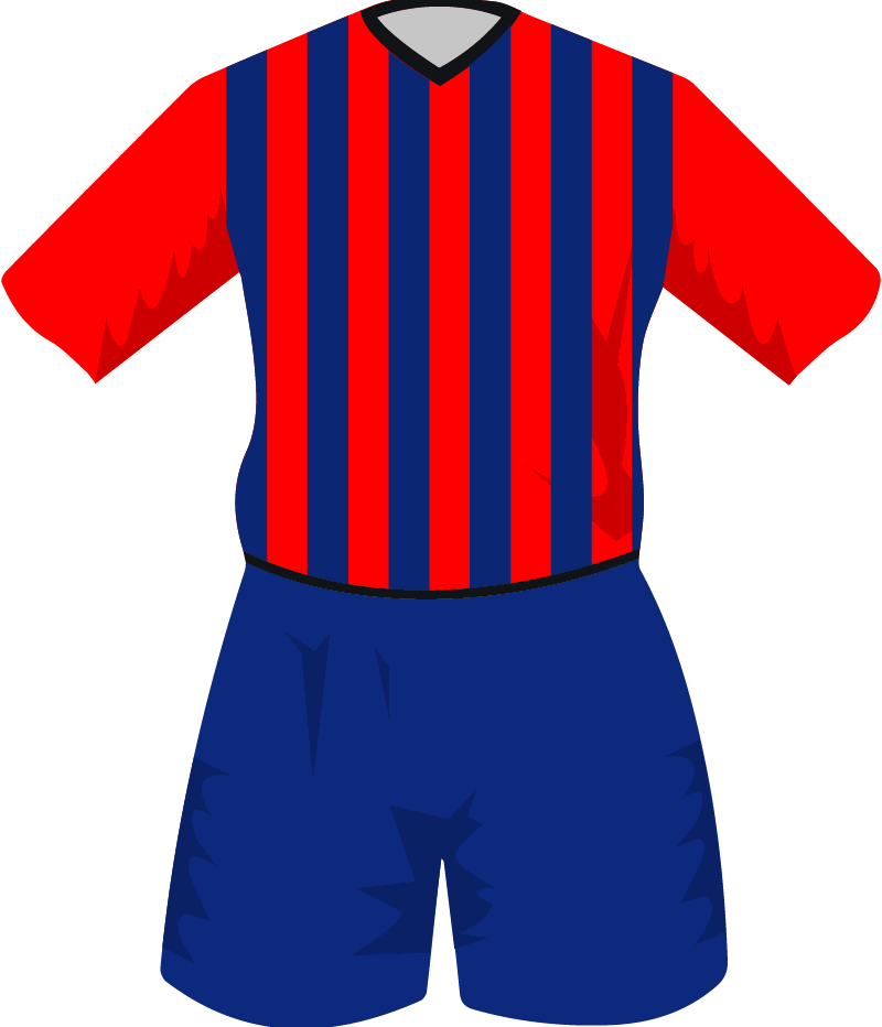maglietta