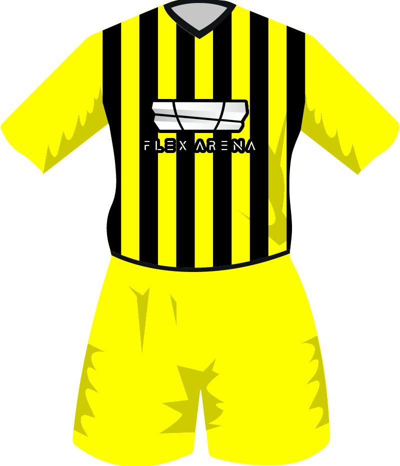 maglietta