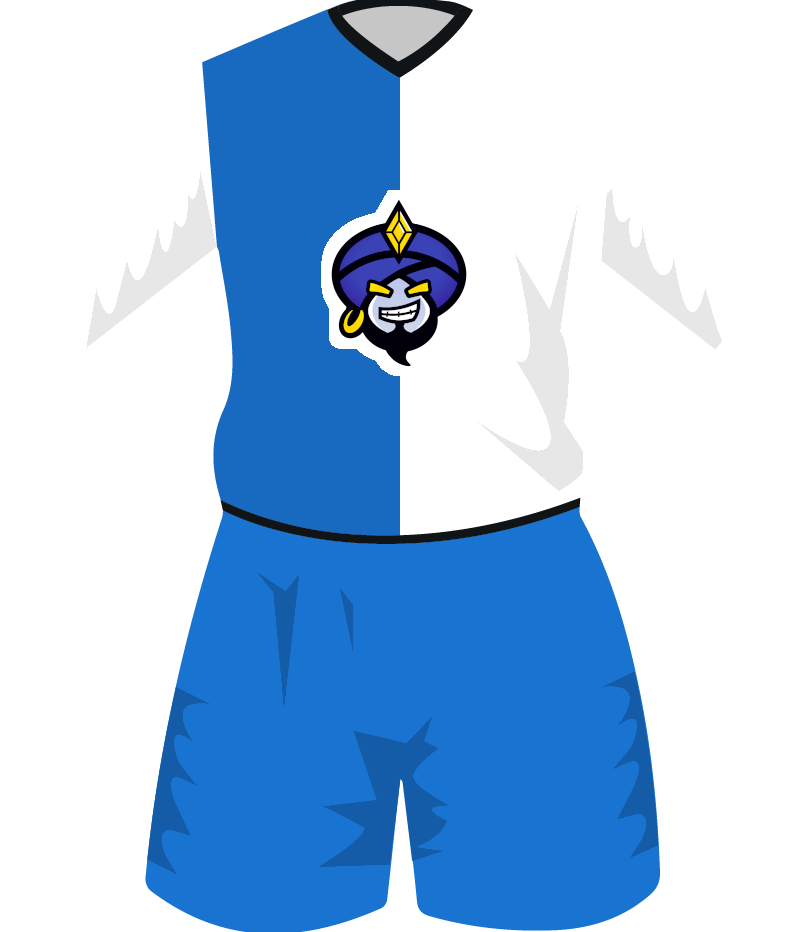 maglietta