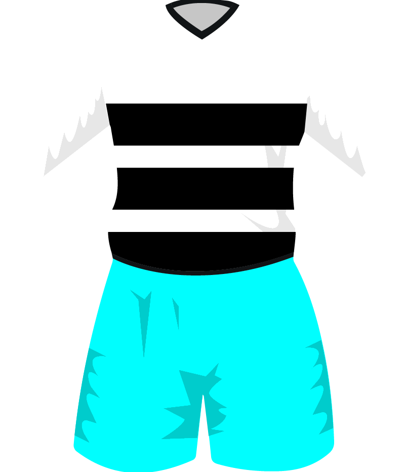 maglietta
