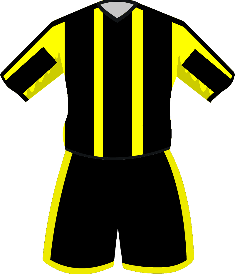 maglietta