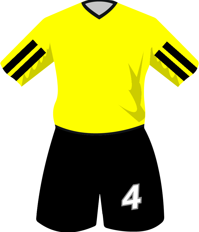 maglietta