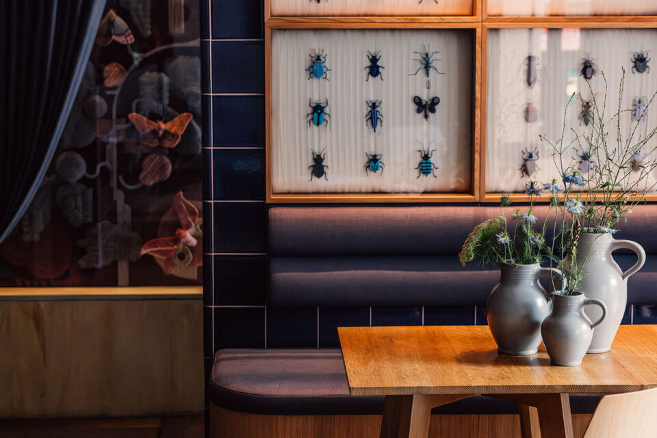 Serviced Apartment, Esszimmer mit Insektenkollektionen in Frankfurt Sachsenhausen