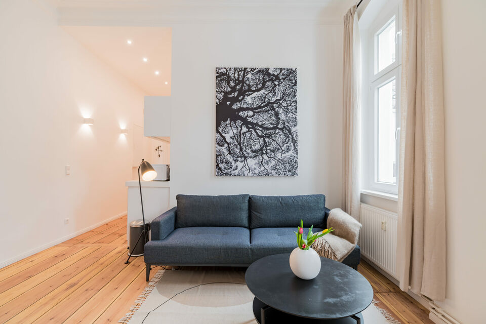 Furnished apartment, living room with designer sofa in Berlin Mitte