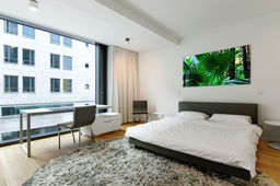 Möblierte Wohnung in Berlin, Mitte - #1696-10