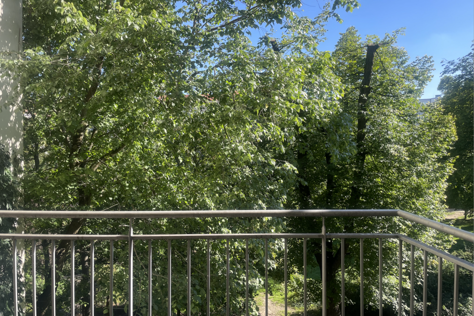 Möblierte Wohnung, Balkon mit Baumblick in Berlin Mitte