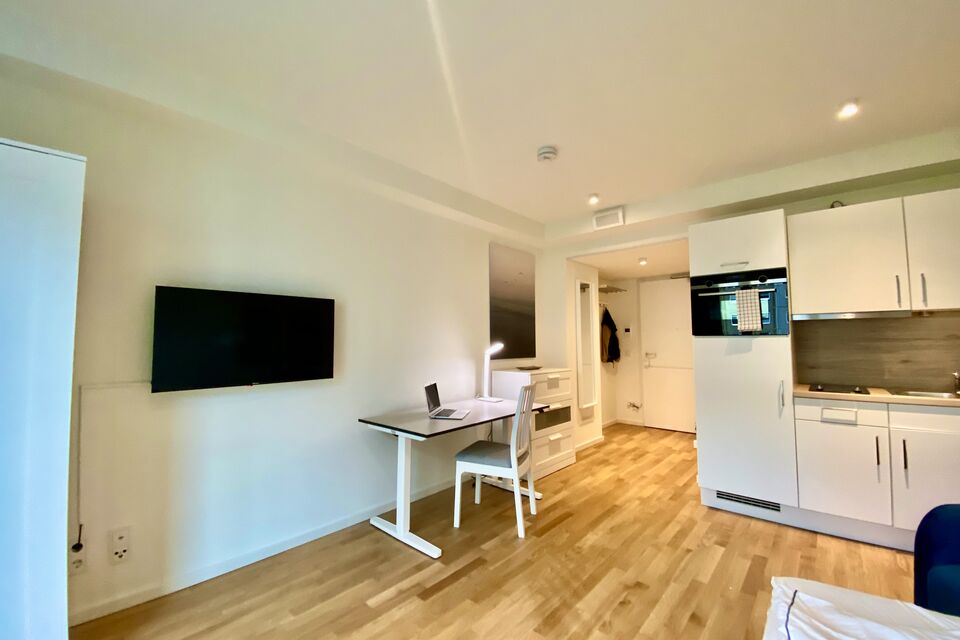 Furnished apartment, living room with open kitchen in Berlin Mitte